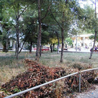 dscn0018