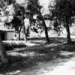 Τώρα θυμήθηκαν το Μορέλλα!  (ΠΕΥΚΗ)