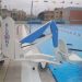 Ευχαριστήριο στο «Σταύρος Νιάρχος»  (ΜΕΛΙΣΣΙΑ)