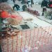 Τεχνικό Πρόγραμμα 4.556.230 ευρώ  (Ν. ΕΡΥΘΡΑΙΑ)