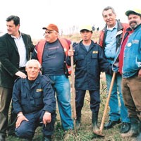 Δυναμικά στη δεντροφύτευση