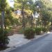 «Το δάσος Μορέλλα ενώνει»  (ΠΕΥΚΗ)