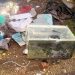 Ενυδρείο στο… βουνό  (Ν. ΠΕΝΤΕΛΗ)