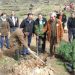 Κόντρα και για την αναδάσωση!  (ΜΕΛΙΣΣΙΑ)