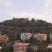 Άμεση δράση κατά ξήρανσης πεύκων