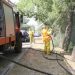 Ν. Λέσβος: Η μάχη της βαμβακίασης
