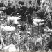 ΕπιΤόπου (4/7)