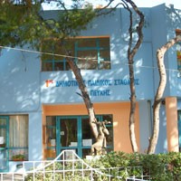 Η διοίκηση για τους παιδικούς  (ΠΕΥΚΗ)