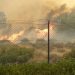 Κατηγορώ για τα αίτια της φωτιάς