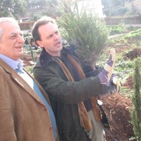 Επιτυχής η νέα δεντροφύτευση