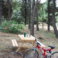 Ανασκόπηση του 2009 (ΛΥΚΟΒΡΥΣΗ)