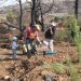 ΣΠΑΠ: Νέα δενδροφύτευση