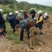 Φυτεύθηκαν 5.000 δενδρύλλια