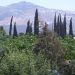 Οι εκδηλώσεις για το Περιβάλλον