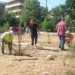 Δενδροφύτευση Συλλόγου Ρεματιά