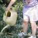 Όλοι στο πότισμα στον Κοκκιναρά