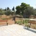 Περισσότερο πράσινο στα Ανάβρυτα