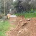 Ρεματιά: Εγκλήματα κατά της φύσης