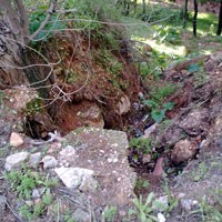 Διαβρώσεις στο δασάκι Αγ.Νεκταρίου