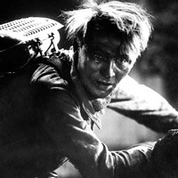 «Συντροφικότητα»