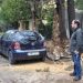 Αποτελεσματικοί στον χιονιά
