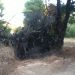 Επιστολή για Παπαδημητρίου