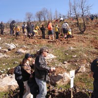 «Αναδάσωση & Αθλητισμός»