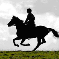 «War Horse»: Μια επική περιπέτεια