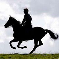 Το άλογο του πολέμου