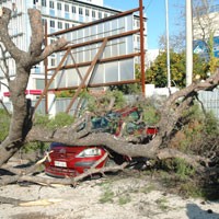 «Πεδίο μάχης» το «Παναγόπουλου»