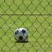 Πεύκη - Άγιος Ιερόθεος 2-0