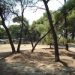 Με τα… μούτρα στο «δασικό»