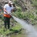 Καθαρισμός φρεατίων και ψεκασμός