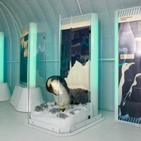 «Αποστολή: Παγωμένη Ανταρκτική»