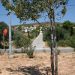 «Καλλιθέα, ερήμην του Δήμου»