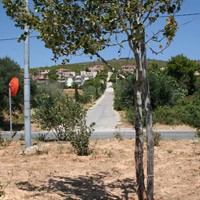 «Καλλιθέα, ερήμην του Δήμου»