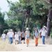 Δράσεις αντιπυρικής περιόδου