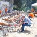 Πασχαλινή γιορτή του Δήμου