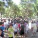Καθαρισμός δασών από τα σχολεία