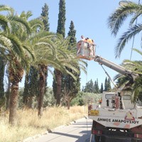 Συνεχίζονται οι ψεκασμοί