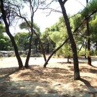 Εμπρησμός στο δάσος Κάσδαγλη