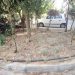 Ηλιακή… ξηρασία στα κοινόχρηστα