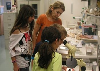 Με ελεύθερη είσοδο γιορτάζει τη Διεθνή Ημέρα (17/5) το Μουσείο Γουλανδρή