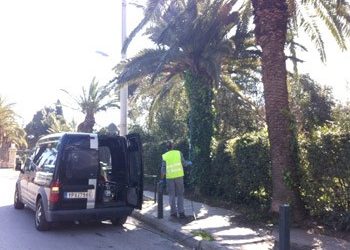 Νέες φυτεύσεις, για την ενίσχυση του πρασίνου