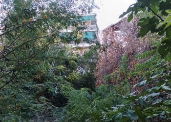 Δήμος Αγίας Παρασκευής: Αντίστροφη μέτρηση για καθαρισμό ιδιωτικών οικοπέδων