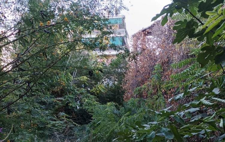 Δήμος Αγίας Παρασκευής: Αντίστροφη μέτρηση για καθαρισμό ιδιωτικών οικοπέδων