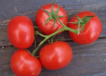 Η Τράπεζα Πειραιώς στηρίζει την υγιή παραγωγική προσπάθεια