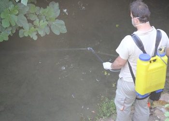Συνεχίζονται οι ψεκασμοί για κουνούπια