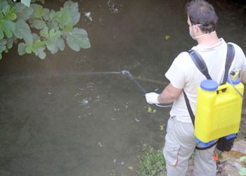 Συνεχείς ψεκασμοί για τα κουνούπια
