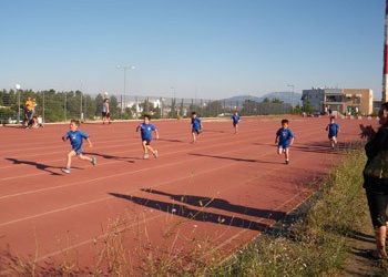 Ξεκινούν τα προγράμματα του ΠΑΟΔΑΠ